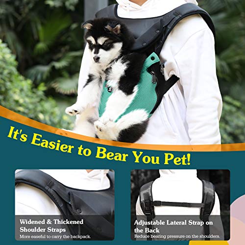 VavoPaw Mochila para Transportar Perros Gatos, Bolsa Ajustable Portátil con Hebilla Segura Malla Transpirable para Paseo Viaje Senderismo para Mascotas Pequeños Medianos, Talla M, Azul