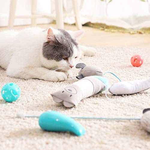 Vealind Juguete Interactivo para Gatos, colección de Juguetes para Gatos, en Hermosa Caja de Regalo (Gris)