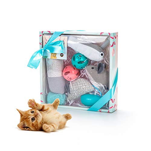 Vealind Juguete Interactivo para Gatos, colección de Juguetes para Gatos, en Hermosa Caja de Regalo (Gris)
