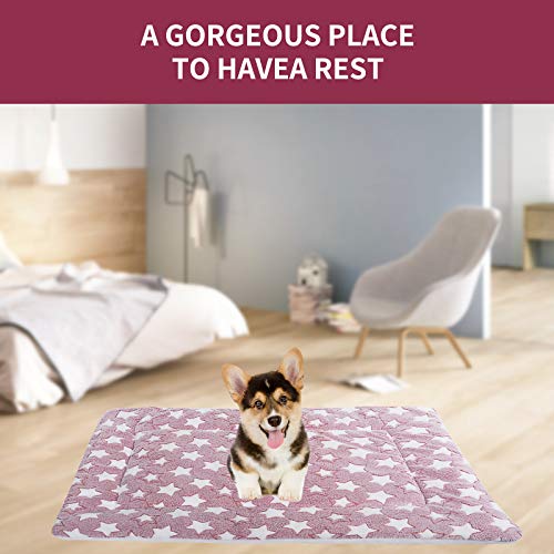 Vejaoo Alfombra Manta para Mascotas Otoño e Invierno Manta Cálida Terciopelo de Franela Perro/Gato Cama XZ006 (49 * 32 CM, Bean Curd)