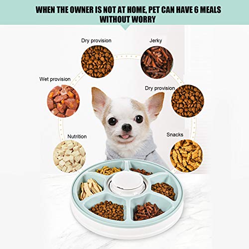 Venta Loca Alimentador automático para Mascotas eléctrico Verde de 6 Rejillas, alimentador automático con Temporizador Digital para Mascotas, 6 Rejillas para dispensador de Alimentos(Green)