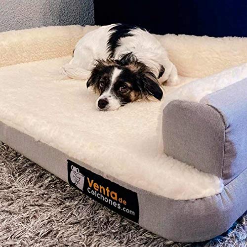 Ventadecolchones - Cama Ortopédica para Perro Deluxe Desenfundable - Grande: 120 x 75 cm - Tela Loneta Premium Azul - 3 cm de Visco + 7 cm de Espuma