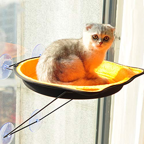 Ventana del Gato Montado En La Cama del Gato del Gato Hamaca Perca Cama con Ventosa De Ahorro De Espacio para Colgar El Nido del Asiento De Descanso Tiene Capacidad para hasta 33 Libras,Naranja,L