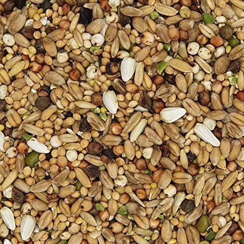 Versele-laga Palomas Ornamentales / con Cuello 20kg