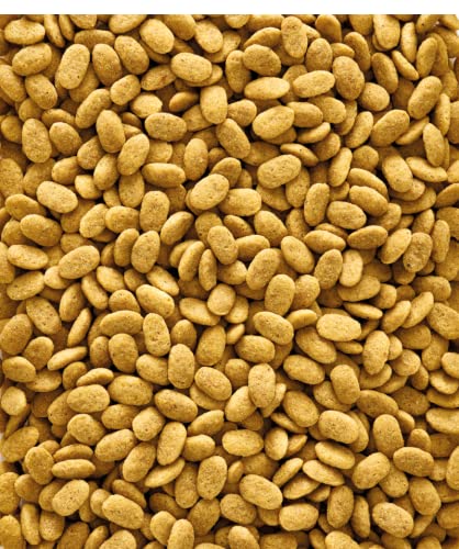 Versele-laga - Pienso de Mantenimiento para Loros NUTRIBIRD P15 Original 10 KG