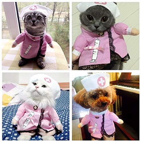 Vestido de Enfermera para Gato, Talla S, Divertido, Idea de Disfraz para Amigos y Animales, Mascotas