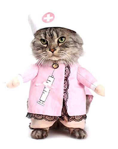 Vestido de Enfermera para Gato, Talla S, Divertido, Idea de Disfraz para Amigos y Animales, Mascotas