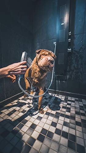 Vetocanis - Champú antipicor para perros 300 ml - Lot de 2