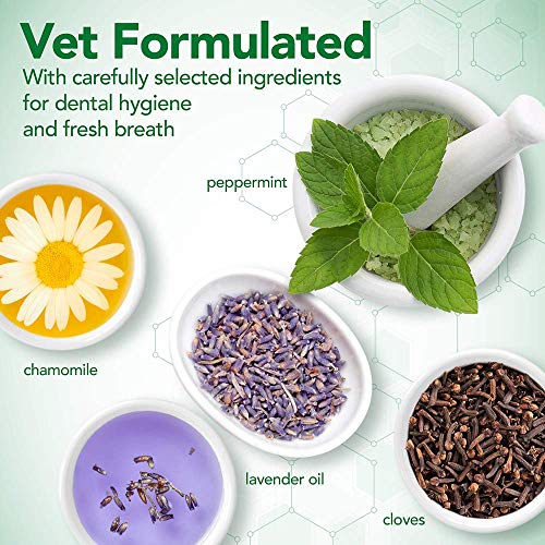 Vet's Best Pasta de dientes para cachorros, limpieza de dientes y gel de cuidado dental de aliento fresco, dentición 100g