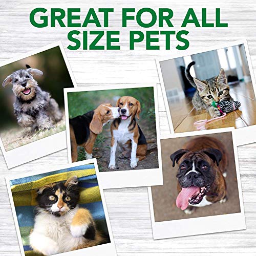 Vet's Best Polvo Dental Natural para Perros, Dientes limpios y aliento fresco, 90 g