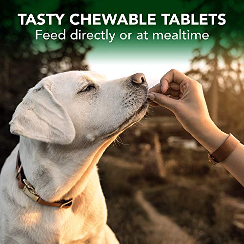 Vet's Best Suplementos para Perros de Piel y Abrigo - Promueve la Piel Caliente y el Abrigo Brillante 200 g