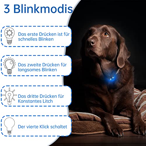 Vibbang Cuello de Gato de Perro LED luz LED colgante USB recargable 3 Modos Parpadeante luces de seguridad impermeables Luz intermitente LED para perros y gatos impermeables Colgante (azul)