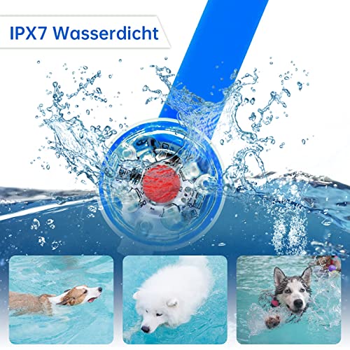 Vibbang Cuello de Gato de Perro LED luz LED colgante USB recargable 3 Modos Parpadeante luces de seguridad impermeables Luz intermitente LED para perros y gatos impermeables Colgante (azul)