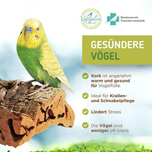 Vogelgaleria Gran percha de corcho para pájaros | Budgie asiento de corcho 20x10 cm como accesorio perfecto en la jaula | Corteza de corcho es un maravilloso juguete para cacatúas y loros