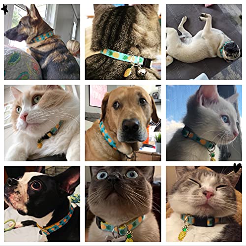 Waaag - Collar para mascotas de piña tropical, collar para gato, collar de seguridad para gato