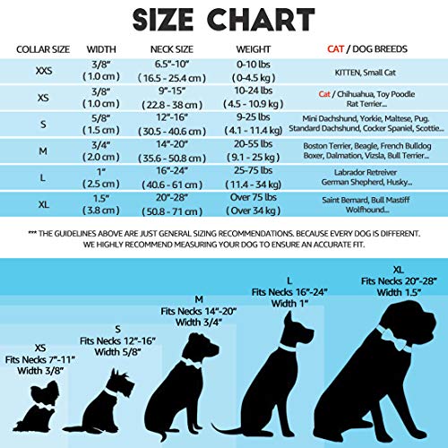 Waaag - Collar para mascotas de piña tropical, collar para gato, collar de seguridad para gato