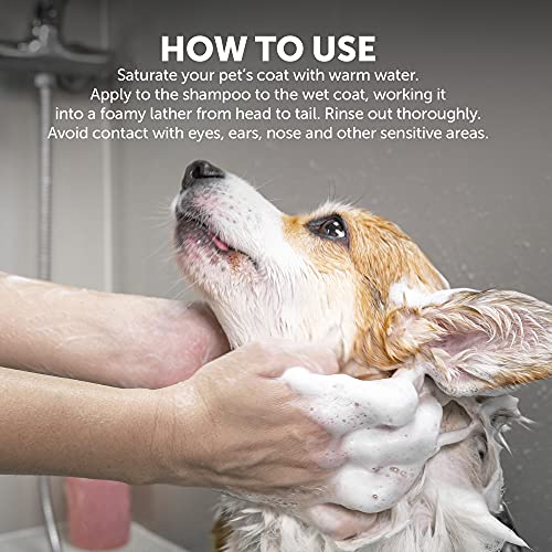 WAHL – Showman Dirty Beastie Champú