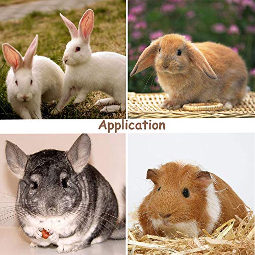 Walant Juguetes para masticar para animales pequeños, madera de manzana, palos, ramas, aperitivos para mascotas, aperitivos para hámsters, bolas molares para conejos, chinchillas y cobayas