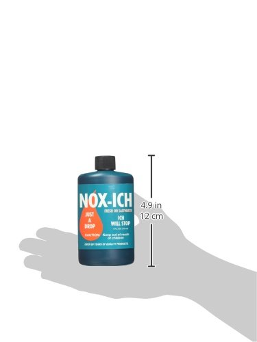 WECO NOX Ich 4 oz
