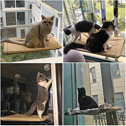 Weichuang Hamaca Ventana de Gato con Manta Gato y Pluma Juquete para Gato, Cama Colgante de Mascota con Ventosas de Perilla Resistentes para Descansar y Tomar el Sol