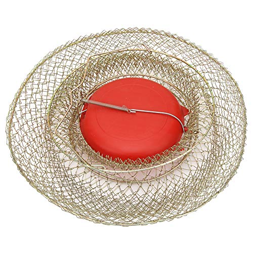 Weikeya Pescado Cesta, con El plastico y Inoxidable Acero S PC 1 Cebo Trampa Jaula