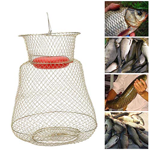 Weikeya Profesional Pescado Cesta, S PC 1 Jaula Alimentador Cesta Hecho de El plastico y Inoxidable Acero