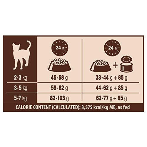 Wellness CORE - Comida para Gatos (Gato sin Grano seco, 300 g)