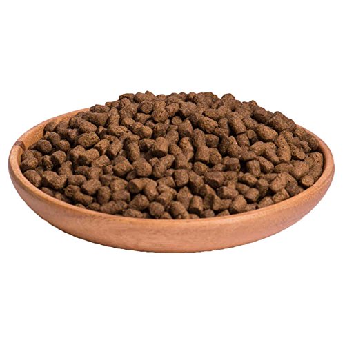Wellness CORE - Comida para Gatos (Gato sin Grano seco, 300 g)