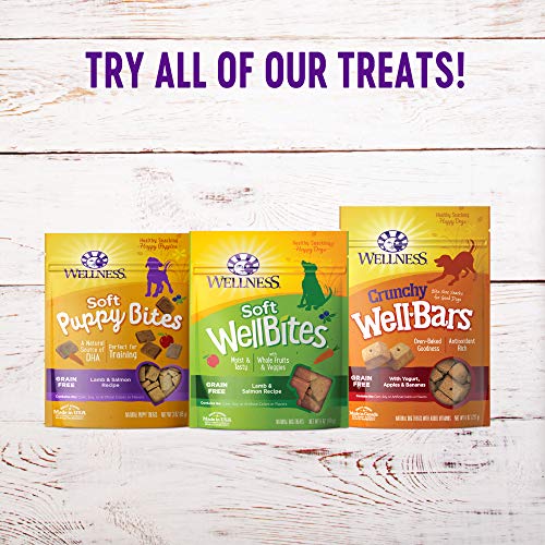 Wellness Natural Pet Food Grain-Free Crunchy Puppy Bites Pollo y Zanahorias Receta golosinas, 6 oz Bolsa (89016)