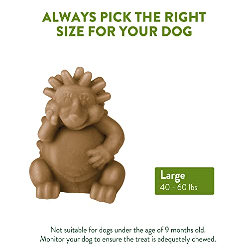 WHIMZEES Dulces dentales Naturales para Perros, Erizo Grande