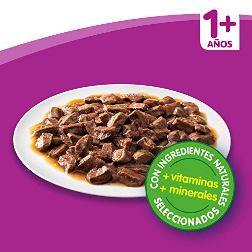 Whiskas Comida Húmeda para Gatos Selección Carnes en Gelatina, Multipack (Pack de 13 x 4 bolsitas x 100g)