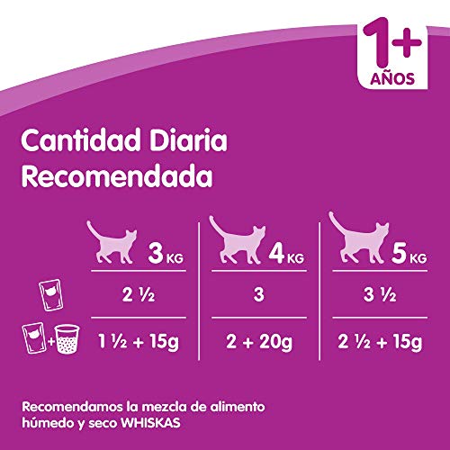 Whiskas Comida Húmeda para Gatos Selección Carnes en Gelatina, Multipack (Pack de 13 x 4 bolsitas x 100g)