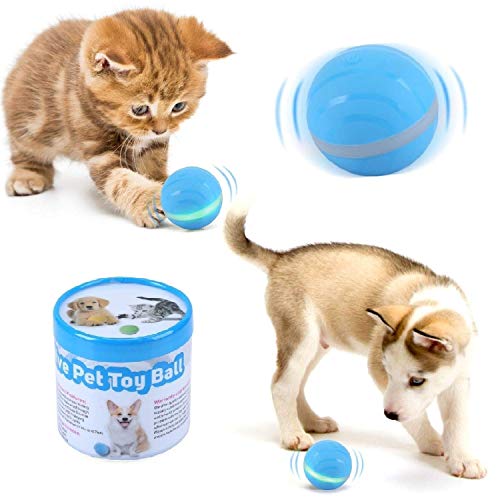 Wicked Ball Toy Activo Salto de pelota Fun Interactive Teaser Toy para mascotas con flash LED giratorio, USB recargable para perros y gatos, azul