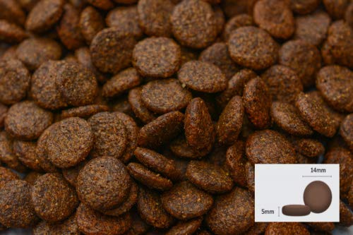Wildfang alimento seco para Perros 2 kg I Alimento Libre de Cereales - Venado con salmón - Batata - moras I Alimento para Perros Adultos I alimento 100% Natural SIN aditivos Artificiales