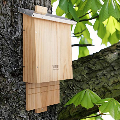 WILDLIFE FRIEND | Caja para murciélagos con techo de metal – Montada en madera de pino y 100% resistente a la intemperie