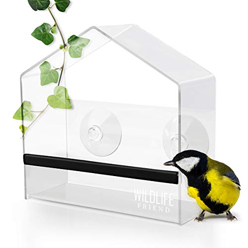 WILDLIFE FRIEND I Comedero Exterior para Aves, Pájaros - de Ventana - Transparente I Alimentador - Comederos para Aves [Smart]