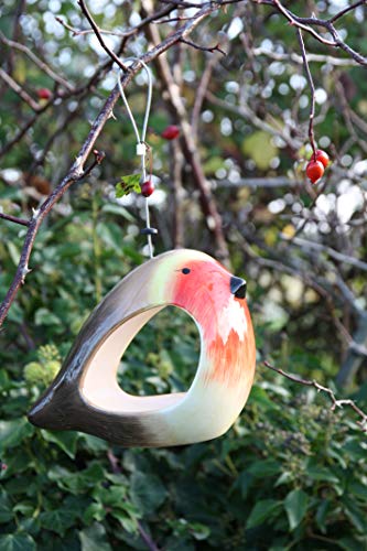Wildlife World - Comedero para petirrojos (cerámica), Color Rojo y Amarillo