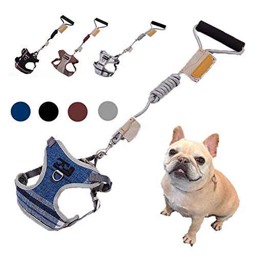 Without logo LPZW Arnés del Perro casero y una Correa Ajustable y Transpirable Conjunto Perrito del Gato del Chaleco del arnés Caminar Correo del Plomo for los pequeños Perros Chihuahua Yorkie