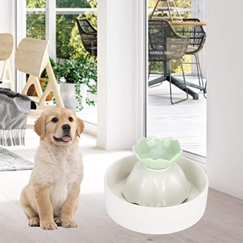 WNSC Fuente de Agua para Gatos Porcelana, Fuente de Agua para Mascotas, Fuente de alimentación USB Mascotas ecológicas Animales pequeños(Apple Green)
