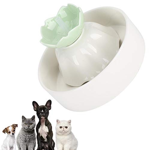 WNSC Fuente de Agua para Gatos Porcelana, Fuente de Agua para Mascotas, Fuente de alimentación USB Mascotas ecológicas Animales pequeños(Apple Green)