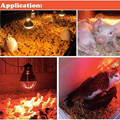 WOERD Bombilla De Calor para Reptiles, Lámpara de Calor para Pollos, E27 Bombilla Emisor Calor Lámpara para Pollitos Gallinero Granja de Cerdos Calentador para Evita el Frío en Invierno