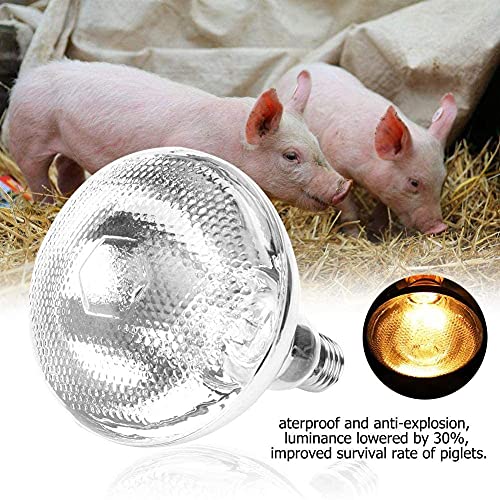 WOERD Bombilla De Calor para Reptiles, Lámpara de Calor para Pollos, E27 Bombilla Emisor Calor Lámpara para Pollitos Gallinero Granja de Cerdos Calentador para Evita el Frío en Invierno