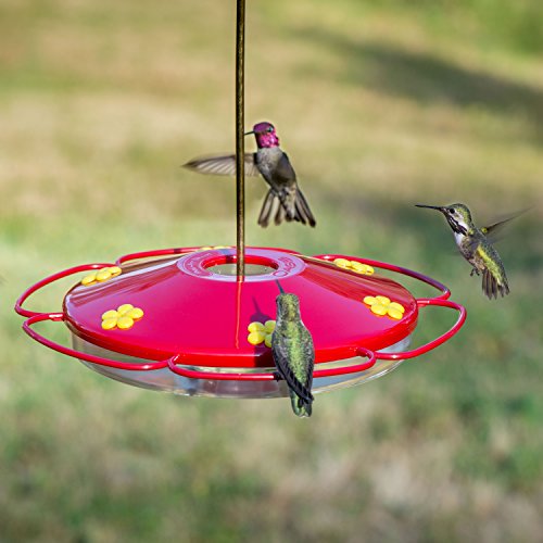 Woodstream colibrí w colibrí Oasis rojo 16 onzas – 221