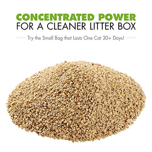 Worlds Best Cat Litter, Arena/Original, 3.18kg