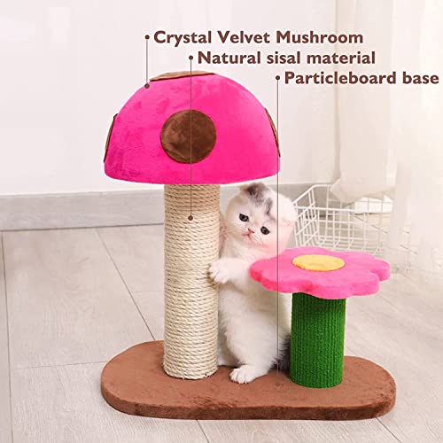WPHGS Torre de Gato con condominios Dobles, Actividad de Gato Muebles de Plataforma de Salto con Pelota Colgante for Gatitos pequeños Gatos