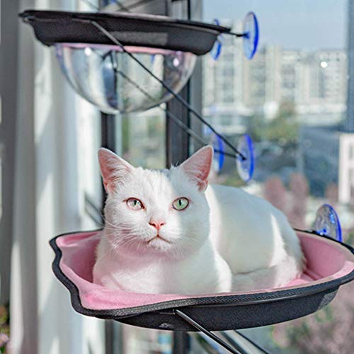 WT-DDJJK Hamaca Colgante, Hamaca para Gatos Asiento de Descanso Ahorro de Espacio Perchas montadas en la Ventana Cama Colgante para Gatitos