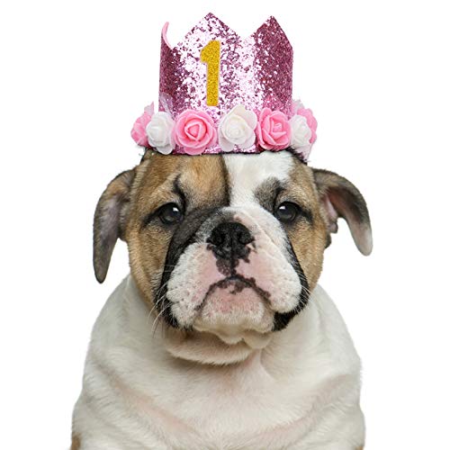 WULE-RYP Productos para Mascotas Mascota Gato Perro cumpleaños Cabra Gorras Gorras Sombrero Fiesta Traje Headwear es mi Carta de cumpleaños Imprimir Accesorio para Mascotas para Fiesta