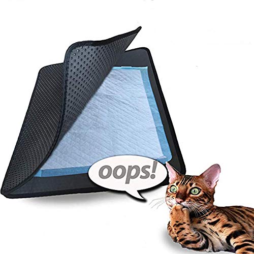 Wuwei Estera de Arena para Gatos Alfombra para Gatos EVA Doble Capa Extraíble Accesorios Gatos para Tu Amigo Peludo(Gris 45X60cm)