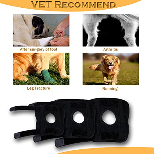 WXFEXIA Hock Brace para perro para pierna trasera, envoltura canina protege heridas, soporte para correr, esguinces, artritis (tira de metal inflexible, M)