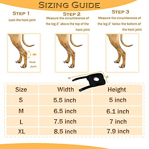 WXFEXIA Hock Brace para perro para pierna trasera, envoltura canina protege heridas, soporte para correr, esguinces, artritis (tira de metal inflexible, M)